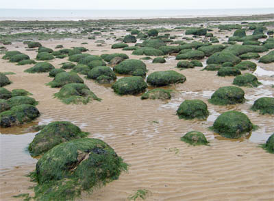 The foreshore at Hunstanton