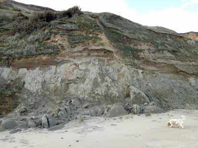 Cliffs near Bacton gas terminal